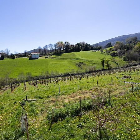 Basarte Cottage Bakio Εξωτερικό φωτογραφία
