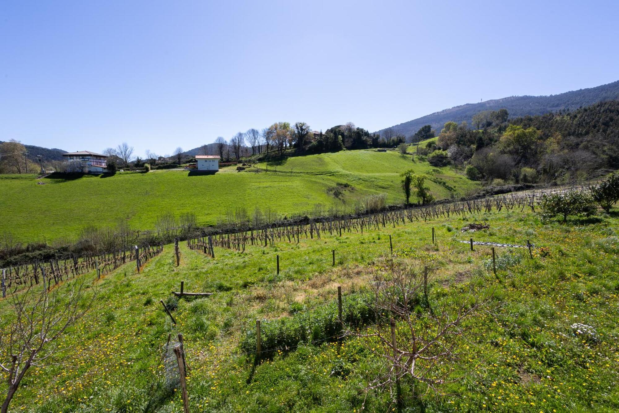Basarte Cottage Bakio Εξωτερικό φωτογραφία