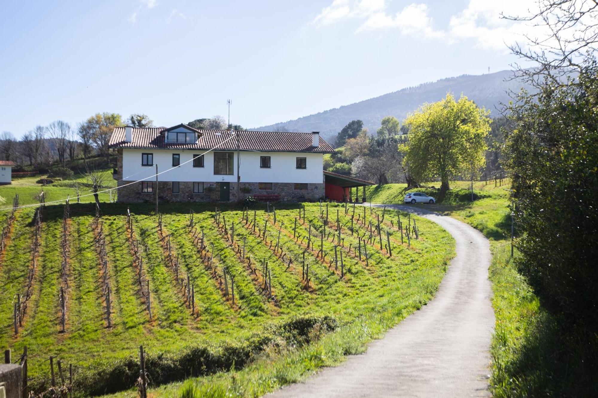 Basarte Cottage Bakio Εξωτερικό φωτογραφία